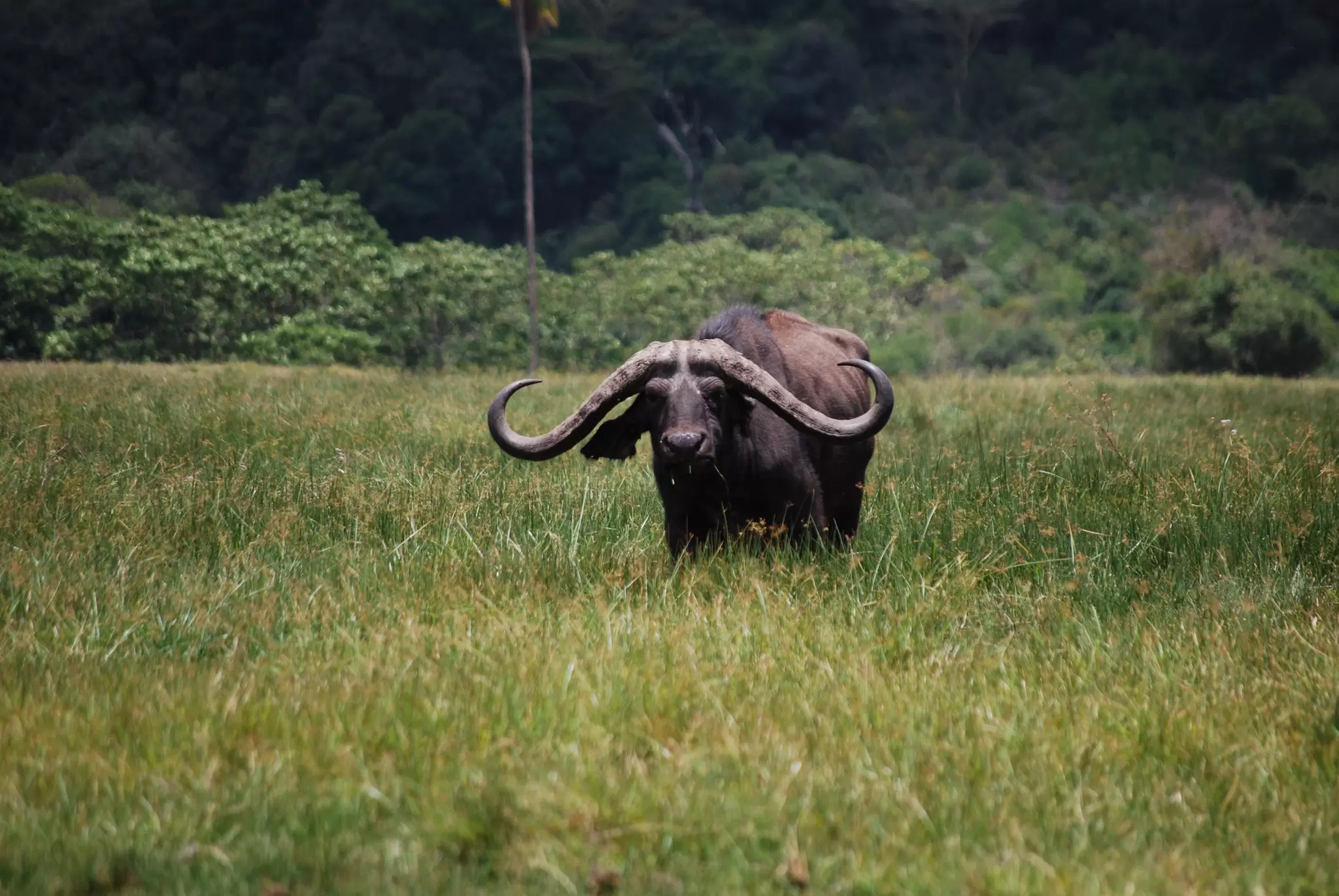 Arusha-National-Park-2