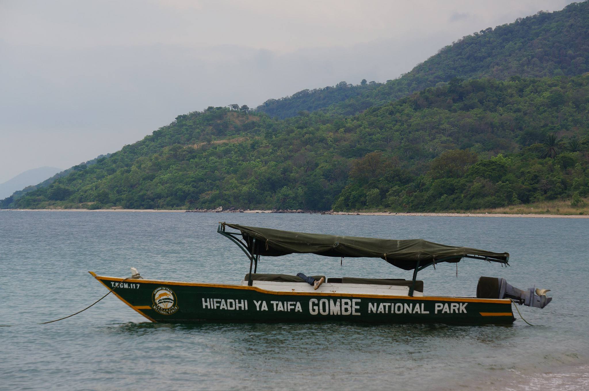 Gombe_Stream_National_Park_Lake_Tanganyika_37