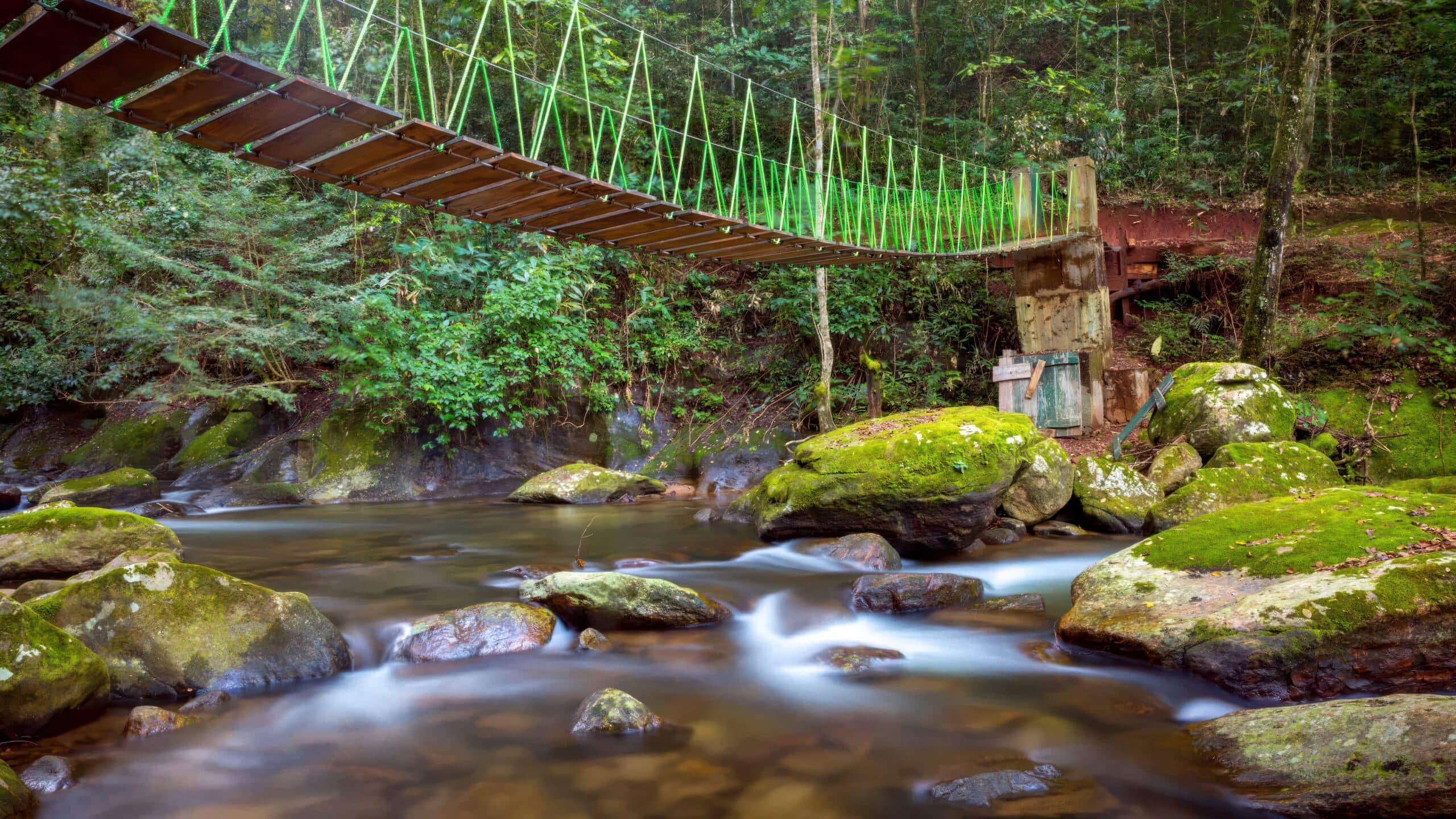 Hanging-Bridge-at-Udzungwa-Mountains-National-Park