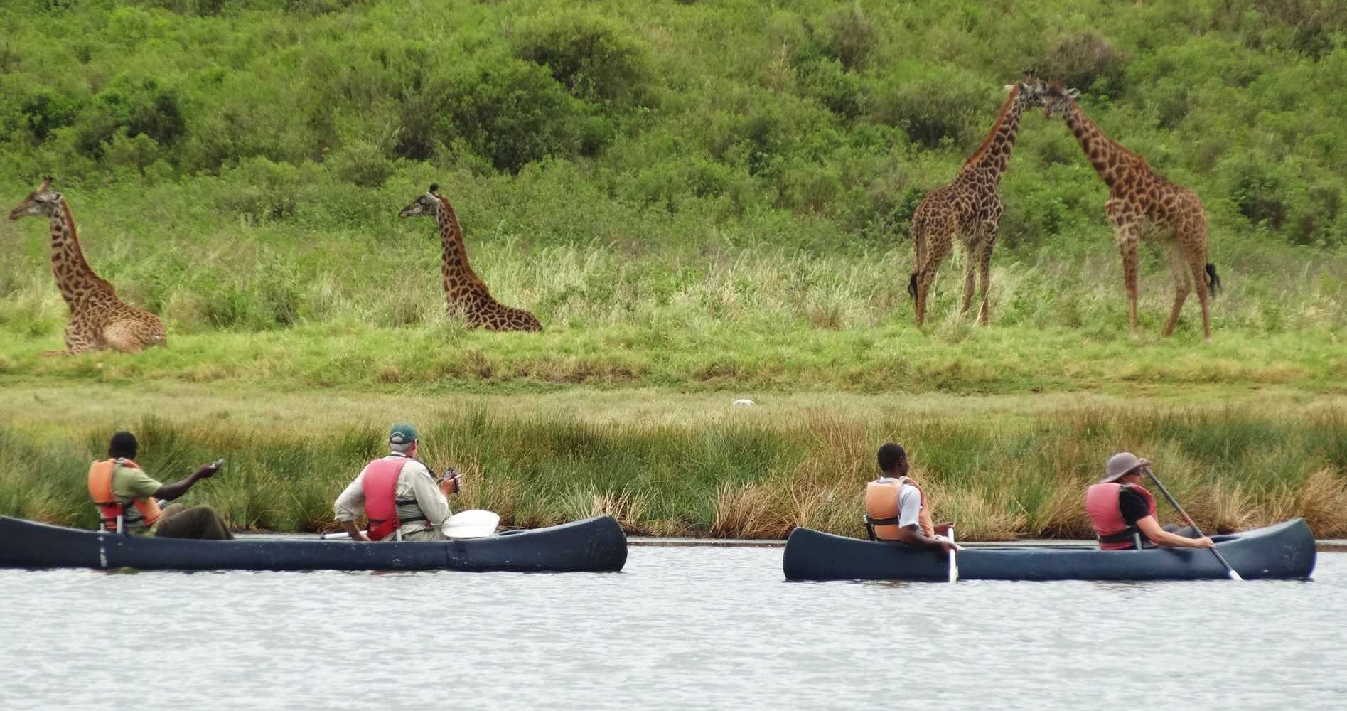 Kano-Arusha-National-Park-1895x1000-1