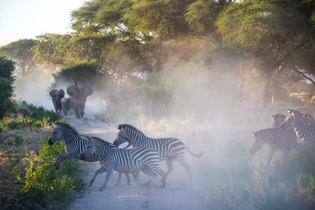 Lake-Manyara-NP-2