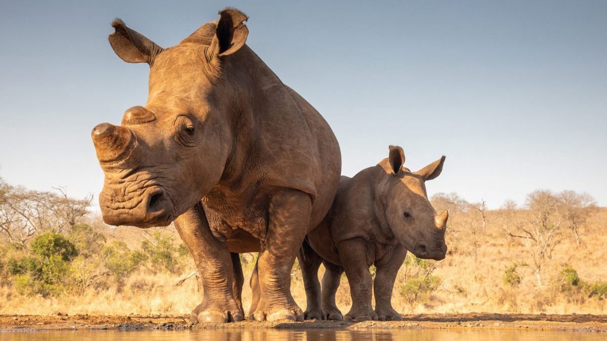 Mkomanzi-National-Park-1200x675-cropped