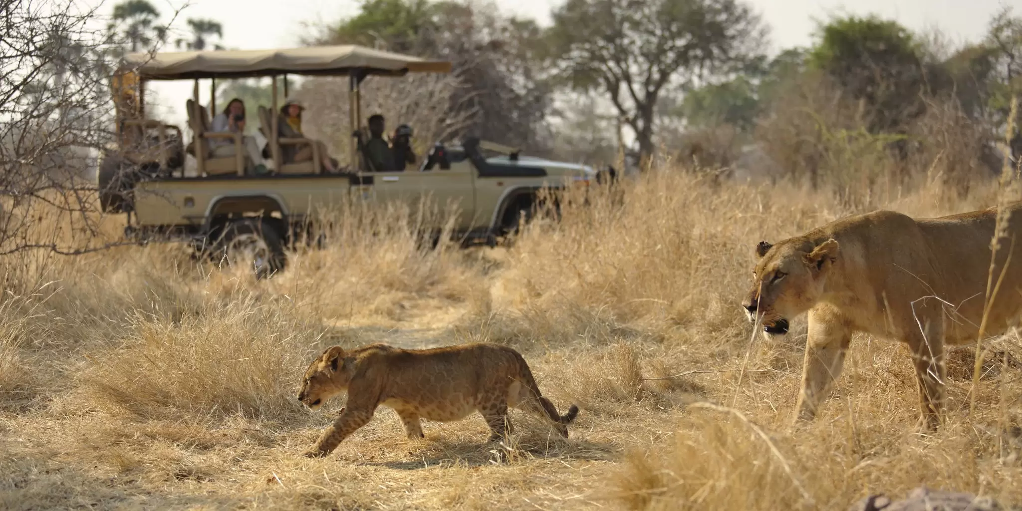 Ruaha-National-Parks-2