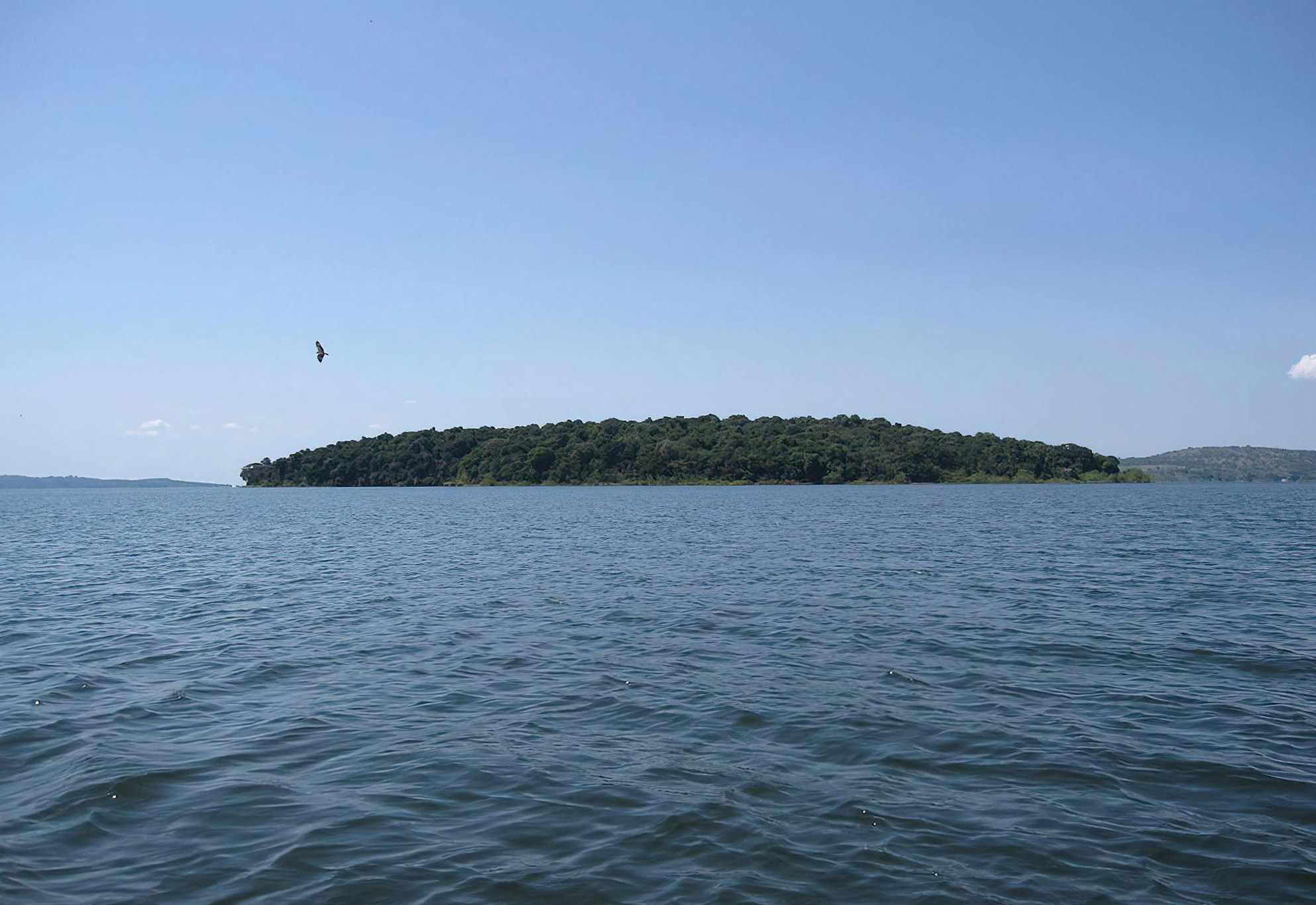 Rubondo_Island_National_Park_x_13