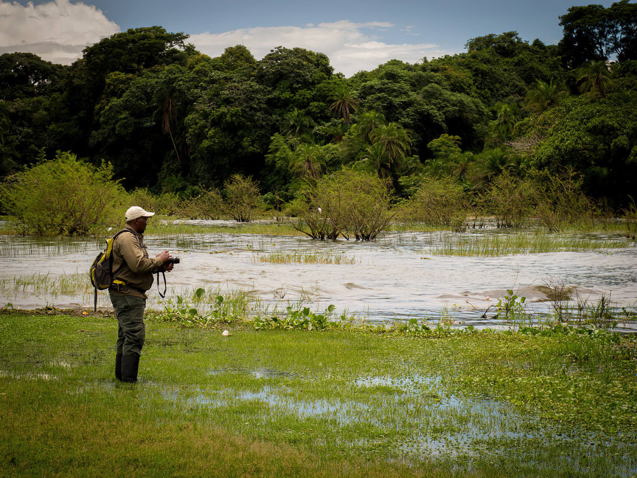 Rubondo_Island_National_Park_x_18