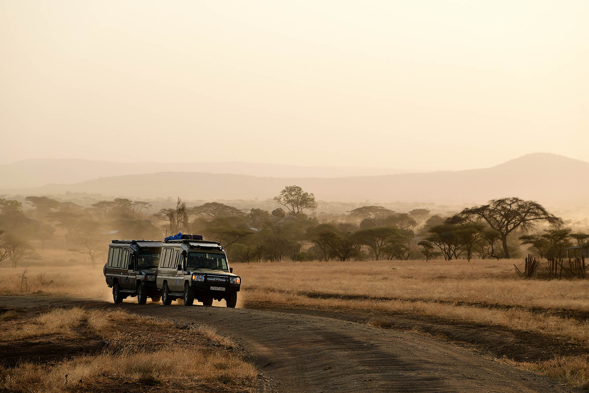 Tanzania Safari With Soul Retreat (21)