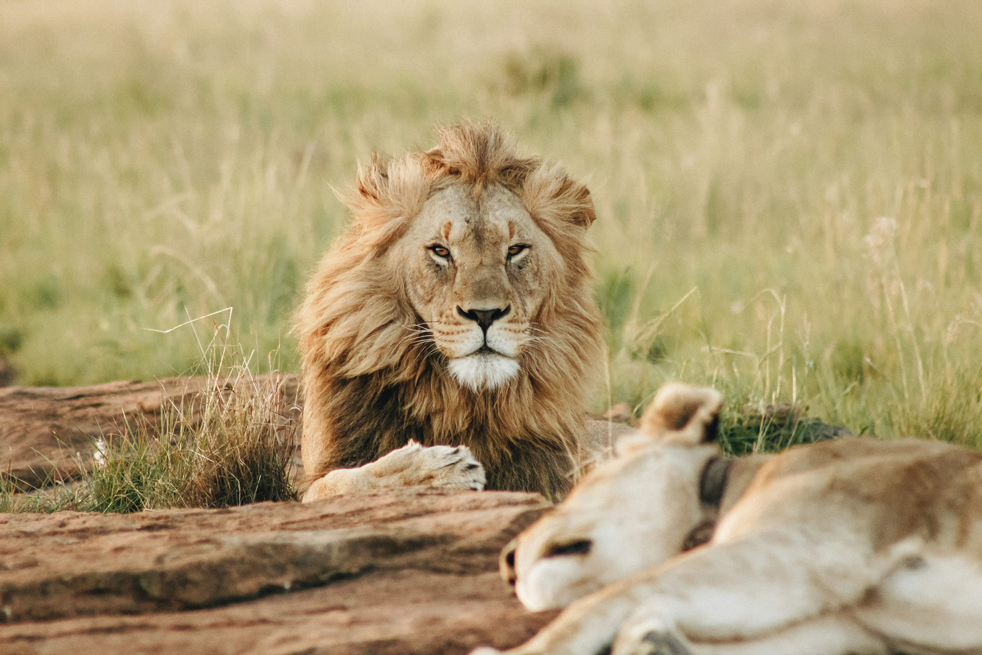 Serengeti National Park