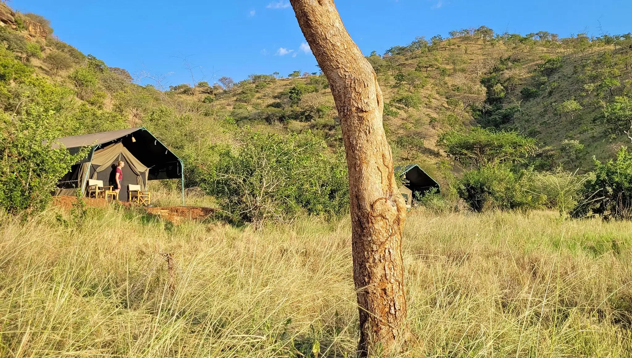 camp-mkomazi-national-park